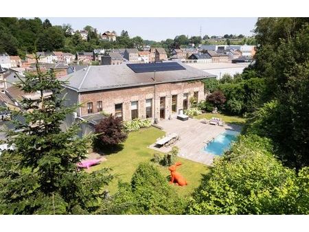 loft avec jardin et piscine