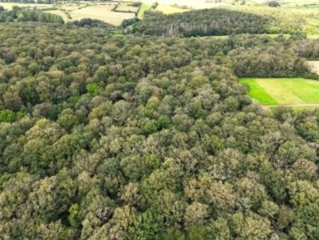 terrain agricole à vendre