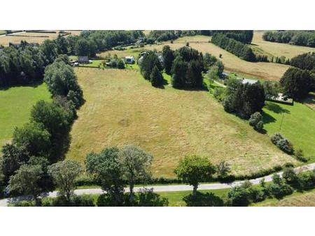 terrain à vente  chemin du bois maret la reid 4910 belgique