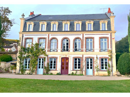 splendide château charles x  très accessible de paris et des vignobles de la bourgogne