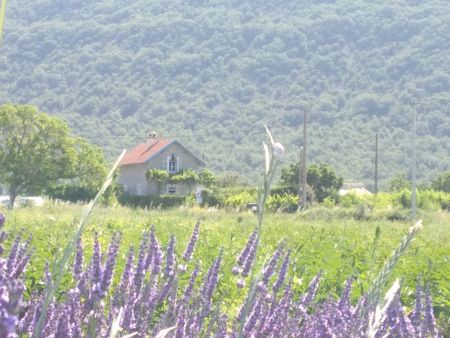 maison à la campagne