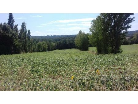 terrain à bâtir 5000m2