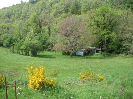 superbe terrain agricole /3 hectares / dalle beton