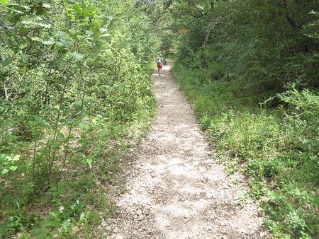 terrain forestier garrigue