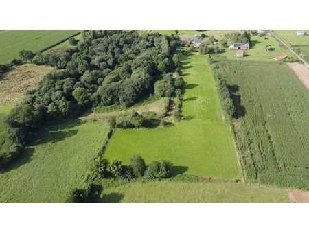 maison avec terrain d’1 5 hectare