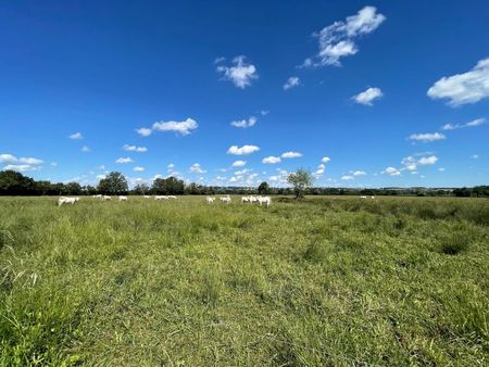 terrain 113100 m² bourges