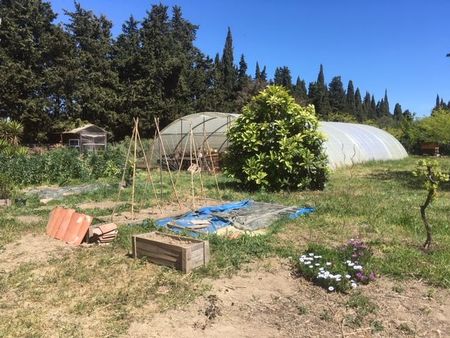 jardin potager 3900m2  elne