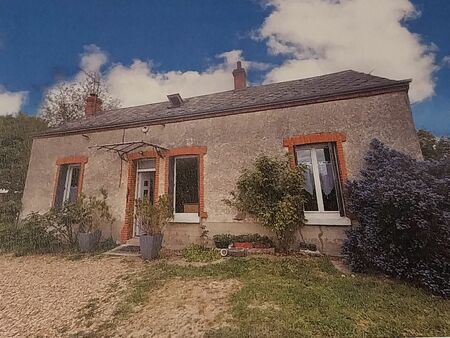 maison à vendre châteauneuf sur loire