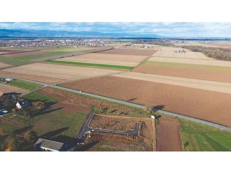 terrain 334 m² niederhergheim