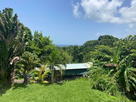 location guadeloupe courte ou moyenne durée