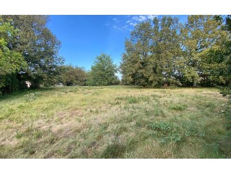 terrain montauban m² t- à vendre  109 000 €