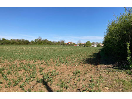 vente terrain 2247 m² champagnolles (17240)