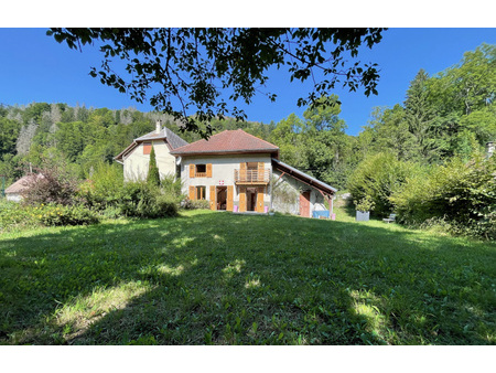 belle maison ensoleillée avec terrain plat et vue dégagée  au calme - massif de la chartre