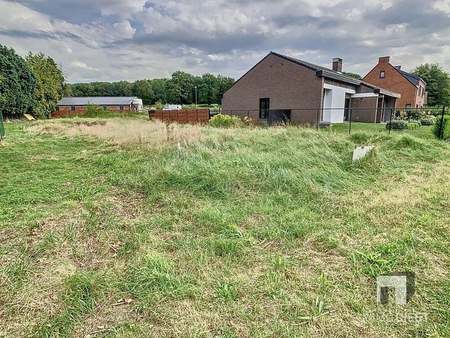 terrain à vendre à schaffen € 159.000 (kv2ko) - immo tessenderlo | zimmo