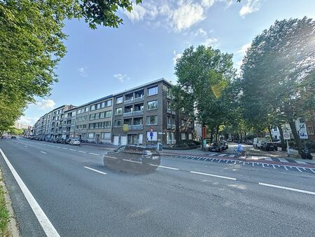 licht appartement vlakbij het brilschanspark