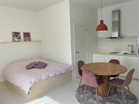 appartement te huur in leuven met 1 slaapkamer