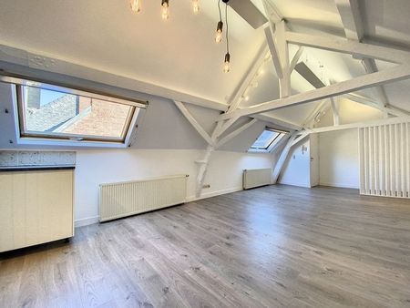 superbe appartement 1 chambre