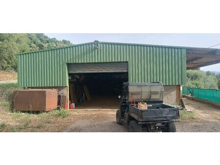 hangar 250m2 bord de route