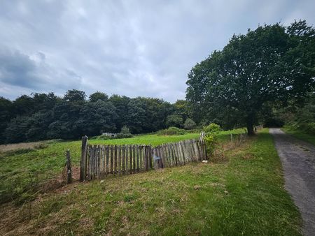 terrain agricole de 4200 m2 abris animaux (cabane) la ferrière-aux-étangs (61450) secteur 