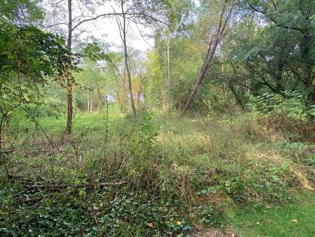 terrain arboré de 3230 m² à budos - environnement bucolique et calme absolu