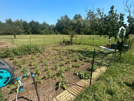 loue jardin potager