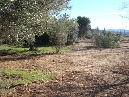 terrain à bâtir à carnoules (83660)