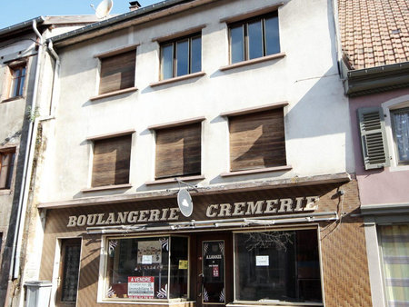 maison à vendre saint-dié-des-vosges