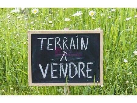 vente terrain 847 m² pinsaguel (31120)