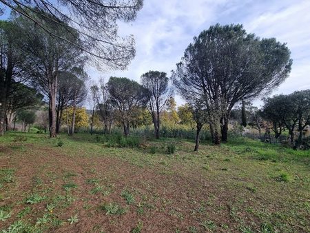 vente terrain 1040 m²