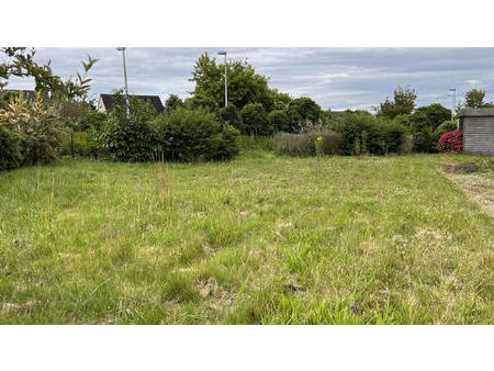 vente terrain à betton (35830) : à vendre / betton