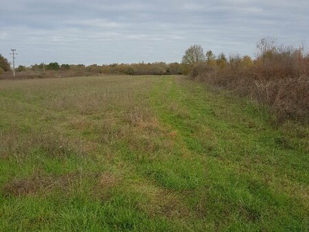 terrain à bâtir à saint-andré-de-cubzac (33240)