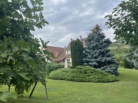 belle propriété bourgeoise sur son grand terrain de 30 ares à westhalten