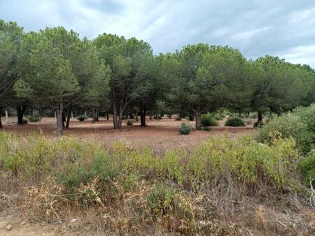 terrain agricole