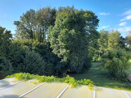 vaste maison familiale dans ecrin de verdure