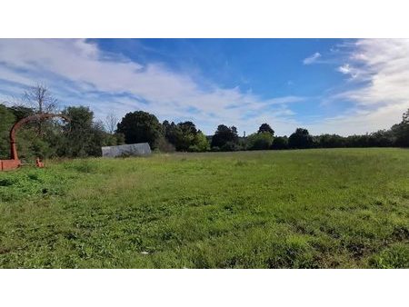 vente terrain 1000 m²