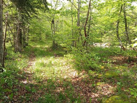 terrain de loisir vercors