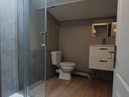 appartement f3 centre roanne 3e étage