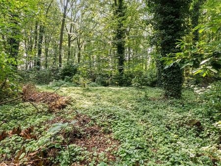 terrain à vendre à stekene € 45.000 (kva6q) - van hoye vastgoed | zimmo