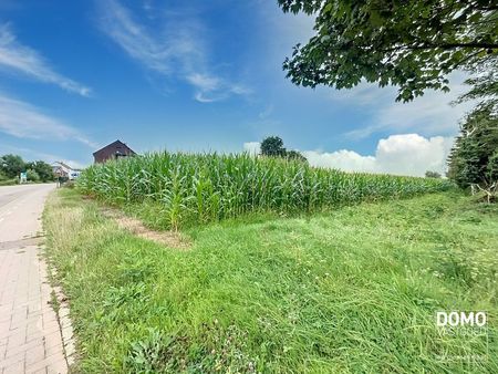 terrain à vendre à halen (kvc2n) - domo vastgoed | zimmo