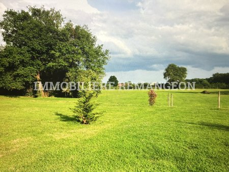 terrain de loisir sur environ 1ha