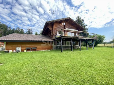 chalet avec magnifique vue sur les montagnes