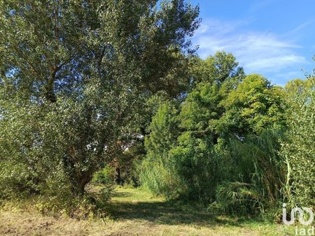 vente terrain de 5 570 m² à pont