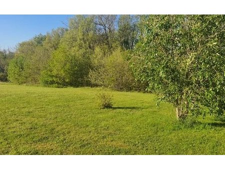 campagne: terrain de 1360 m²