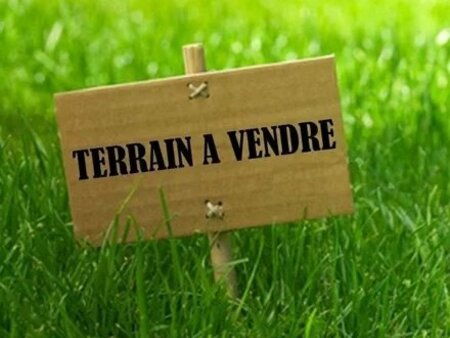 terrain constructible de 2625 m² à bax (31310)