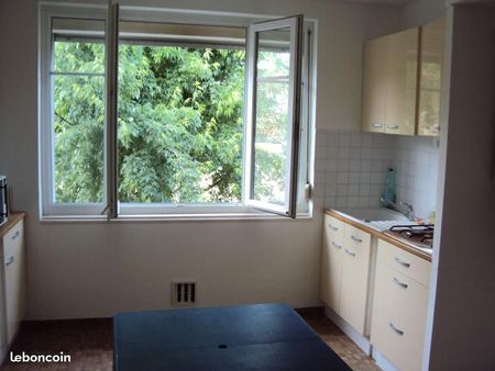 location appartement centre ville