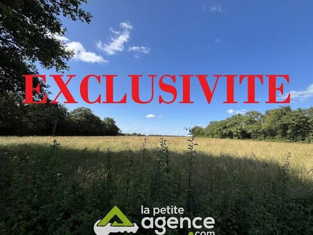 vente terrain 17894 m²