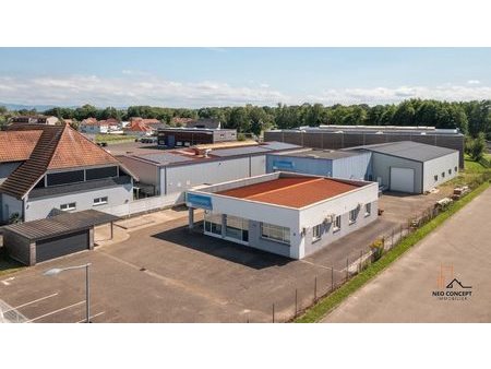 vente locaux professionnels 9 pièces 277 m²