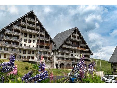 vente appartement besse-et-saint-anastaise (63610) 2 pièces 31m²  91 500€