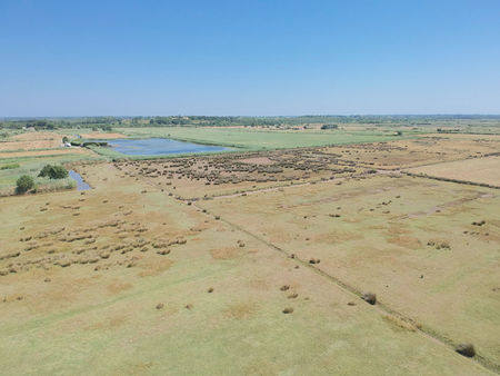 haute-gironde  en pleine nature - ensemble immobilier sur 19 ha