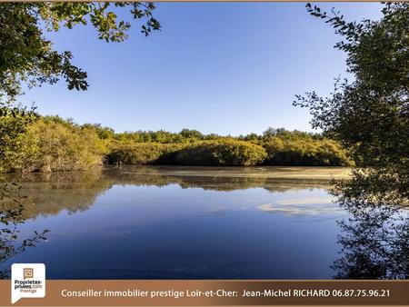 territoire de chasse sologne